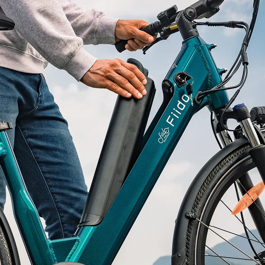 Fiido C11 Urban Lichtgewicht Elektrische Fiets