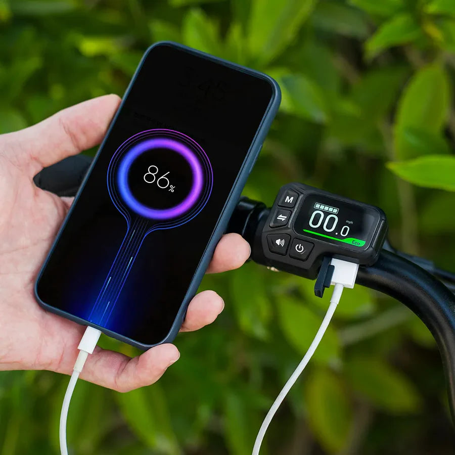 Fiido C11 Urban Lichtgewicht Elektrische Fiets